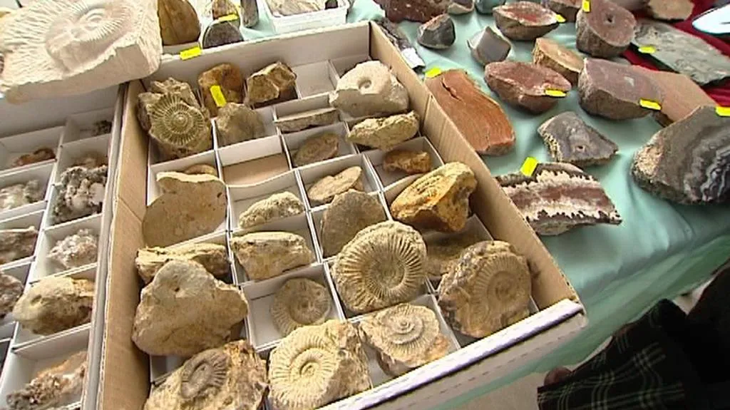 Kolekce vystavených minerálů