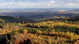 Šéf Křivoklátska: CHKO nestačí, lesy ochrání národní park