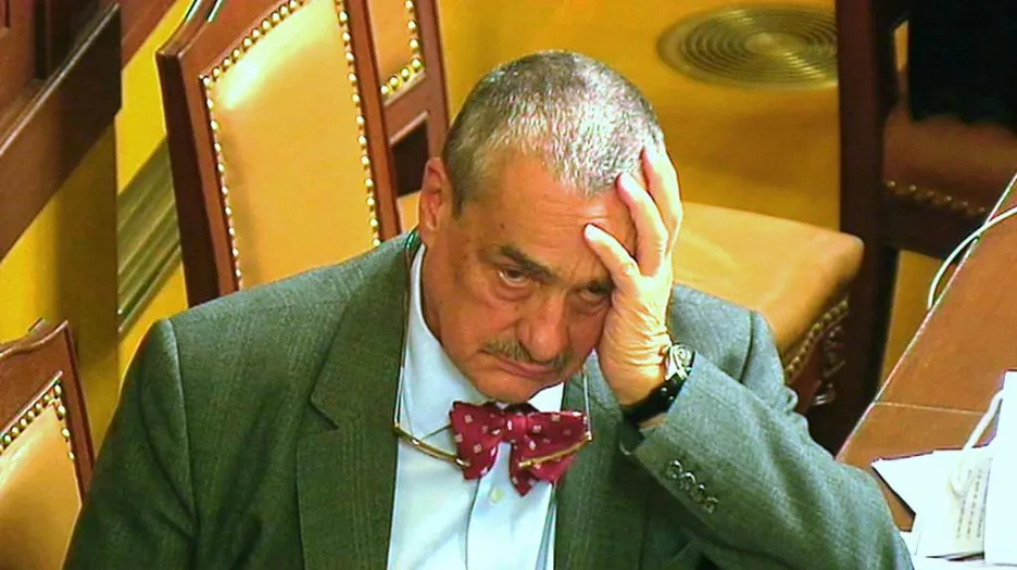 Vicepremiér Karel Schwarzenberg