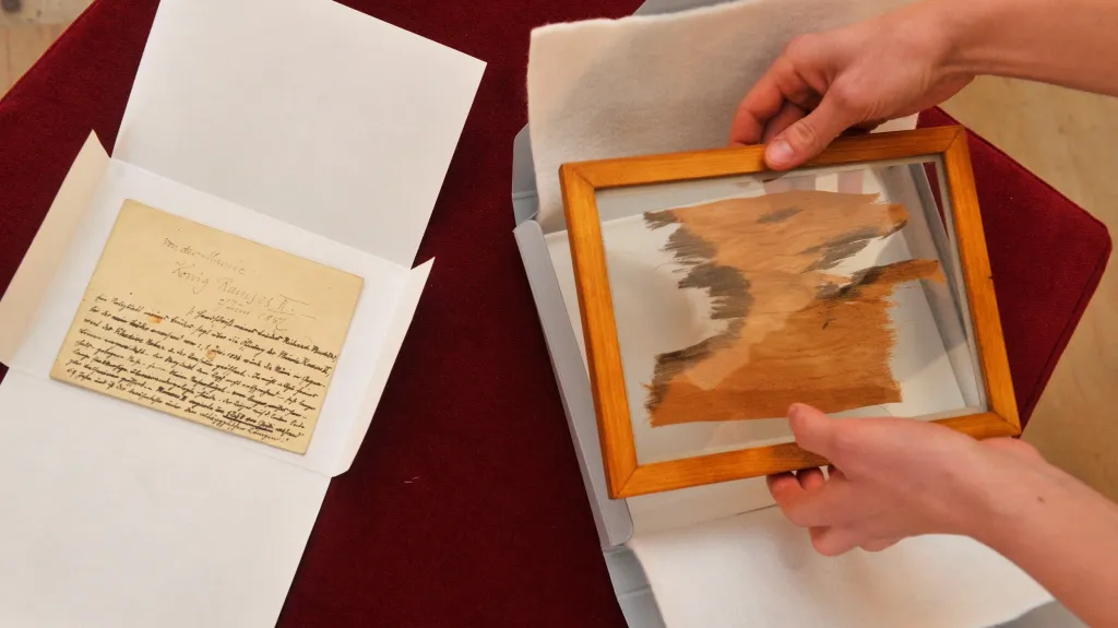 Fragment mumie Ramesse II.