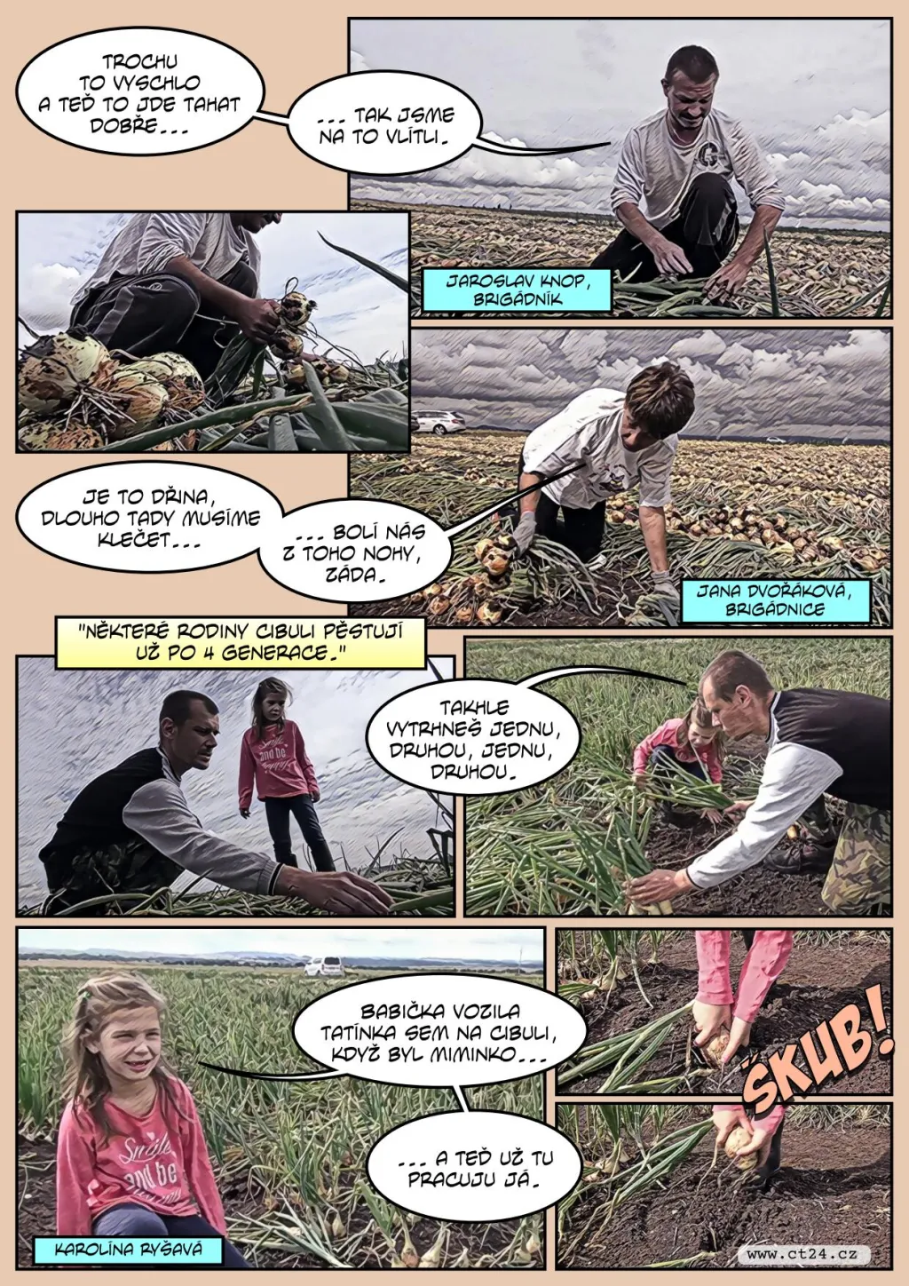 Deštivé počasí narušilo sklizeň cibule