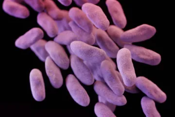 Češi používají čím dál víc antibiotik. Má to značná rizika
