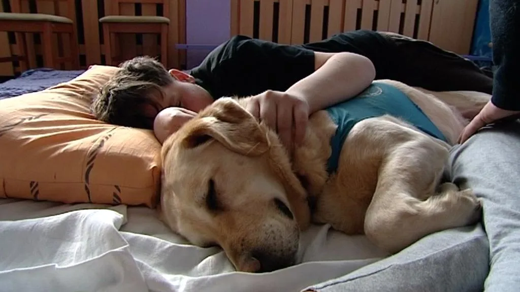 Psi pomáhají zdravotně postiženým dětem