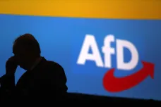 Německá kontrarozvědka označila AfD za pravicově extremistickou stranu