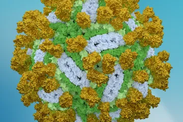 Klíšťová encefalitida se stále nedá léčit. Brněnští vědci jsou na stopě zbrani proti viru