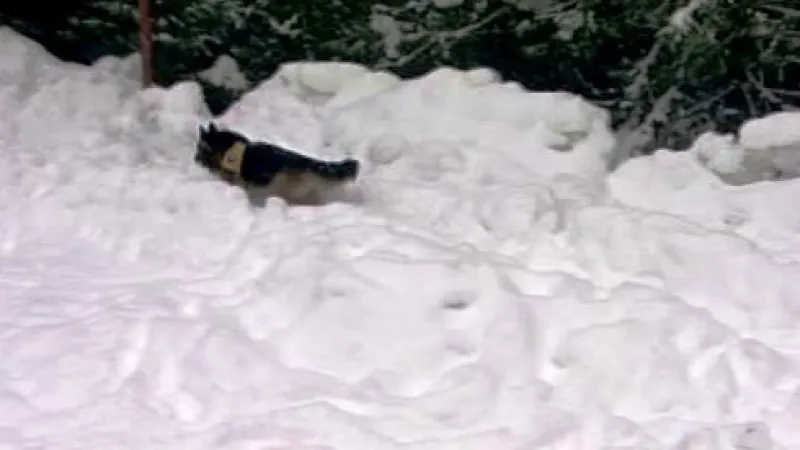 Český turista pohřešovaný v Nízkých Tatrách zůstává nezvěstný. Záchranáři museli kvůli špatnému počasí už poněkolikáté přerušit pátrání.