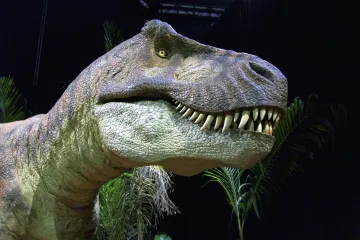 Tyrannosaurus rex mohl být až o 70 procent větší, než si vědci doposud mysleli