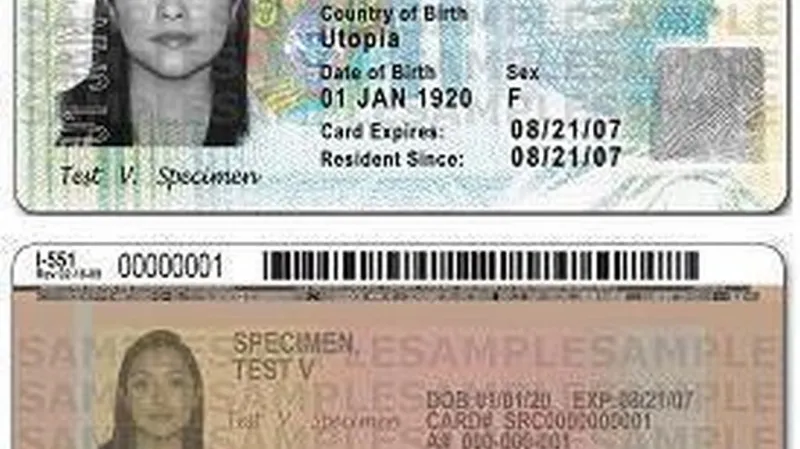 Příklad zelené karty