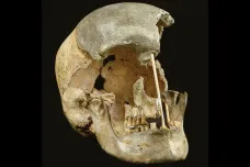 První moderní lidé napoprvé neuspěli v kolonizaci Evropy, ukazuje nejstarší lebka z Česka