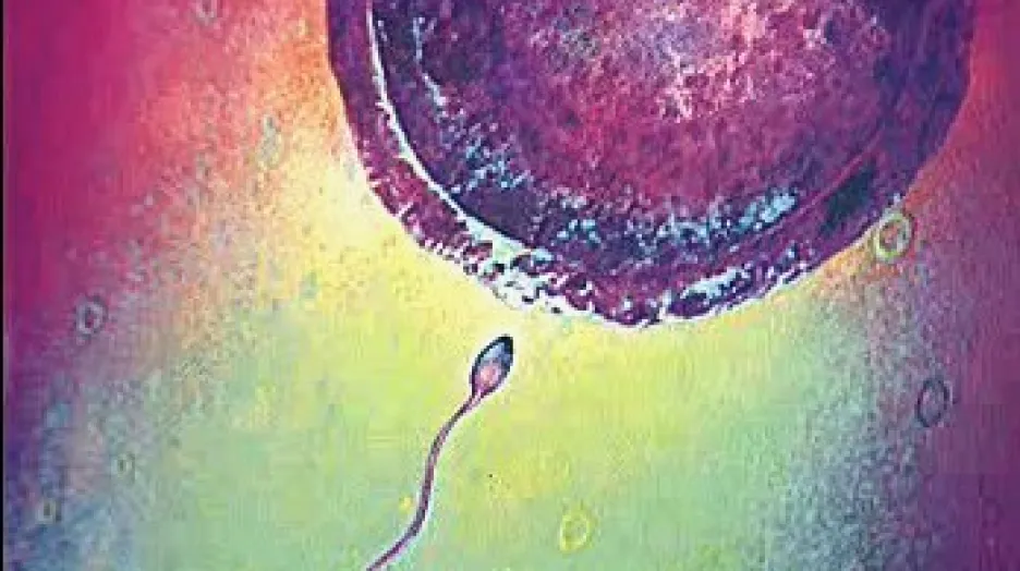 Spermie a vajíčko