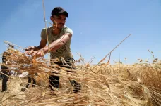 Sýrie čelí další katastrofě. Dvanáct milionů lidí hladoví a úrodu ničí sucho