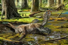 Čínští dělníci dynamitem odkryli neznámého dinosaura. „Bahenní drak“ byl velký jako osel