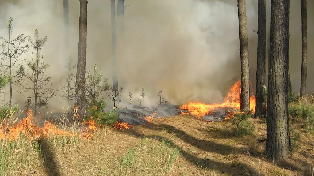 Požár na Hodonínsku