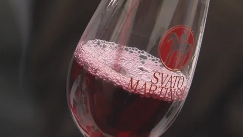 Svatomartinské víno