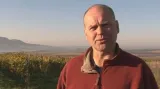vinař Roman Slouk o pálavské odrůdě
