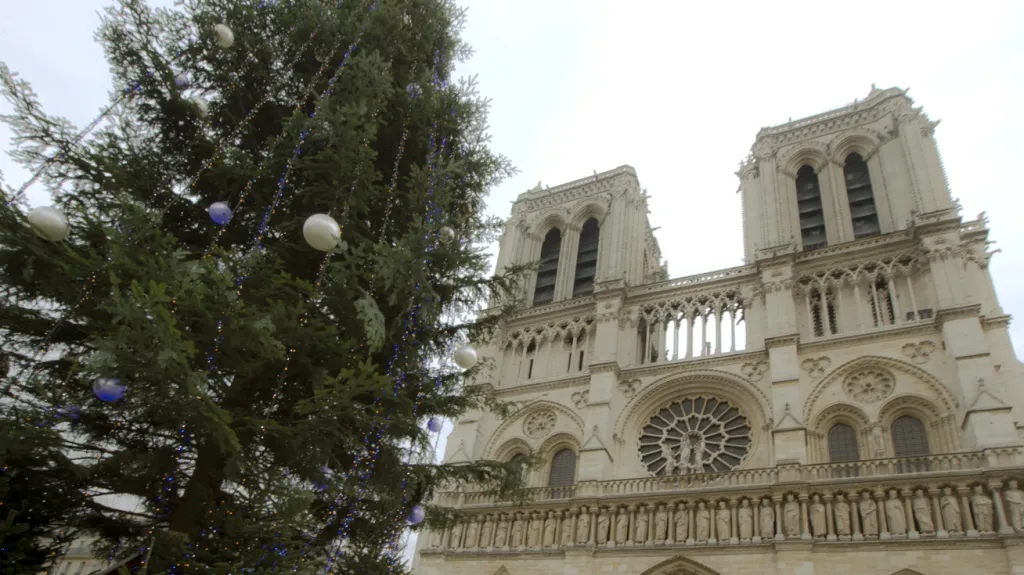 Vánoční strom před Notre Dame