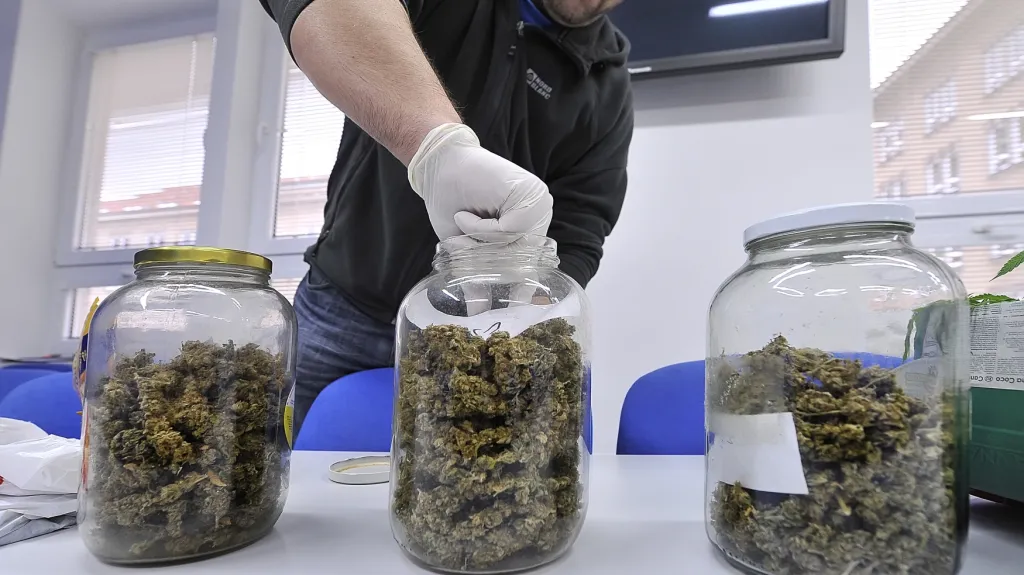 Zabavená marihuana. Ilustrační foto