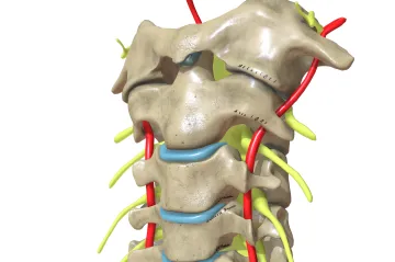 Mícha je chytřejší, než to vypadalo. Lékaři našli další věc, kterou umí