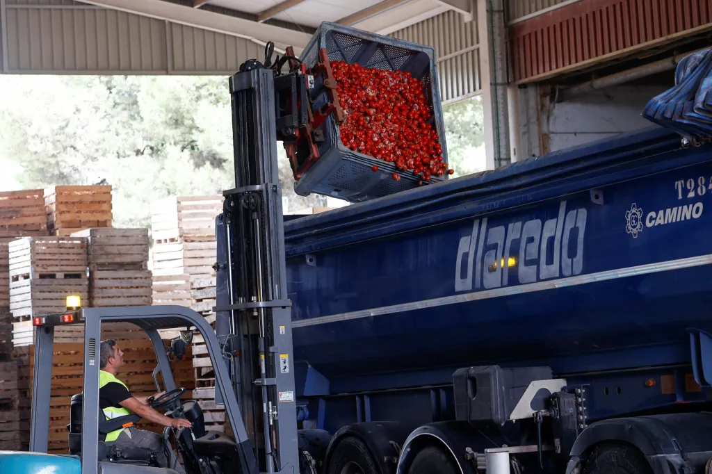 Španělský festival Tomatina