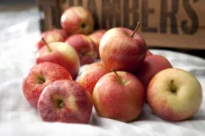 Jablka jsou v Česku nejlevnější za několik posledních let. Proti loňsku klesla cena o 11 korun za kilo