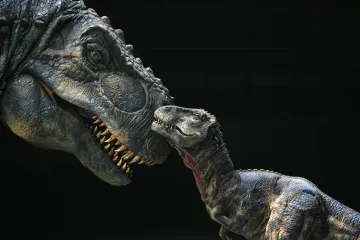 Nanotyrannus nebyl jen mladý T. rex, definitivně potvrdili vědci