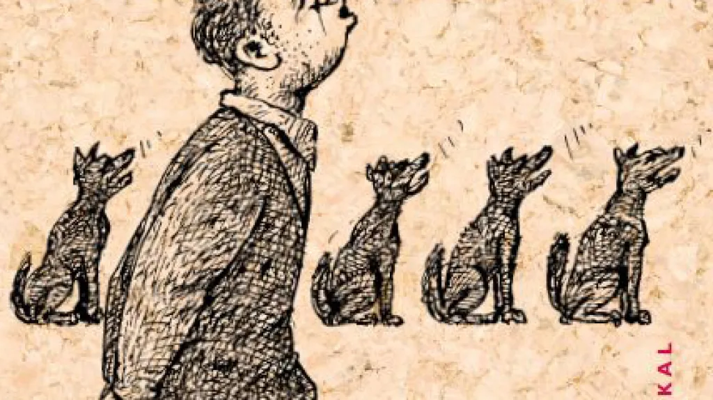 Vlčí léto laponského rybáře