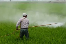 Pesticidy ničí nejen přírodu, ale i archeologické památky