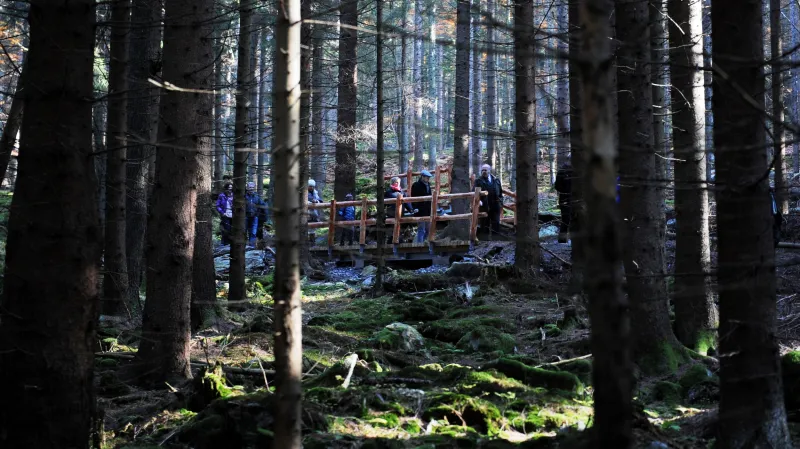 Stezka ve vlčím výběhu