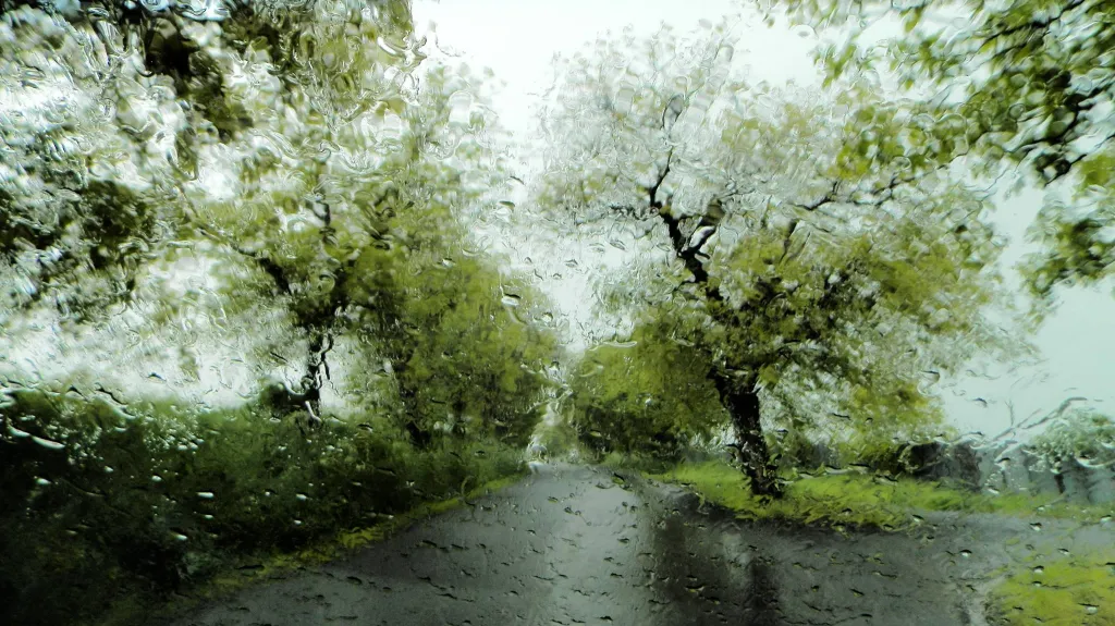 Lounsko - pohled z auta