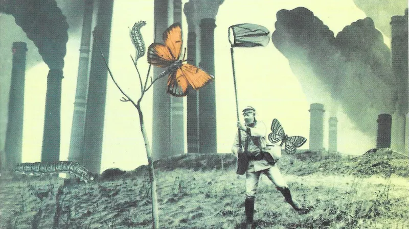 Traditional Jazz Studio / Entomologův sen