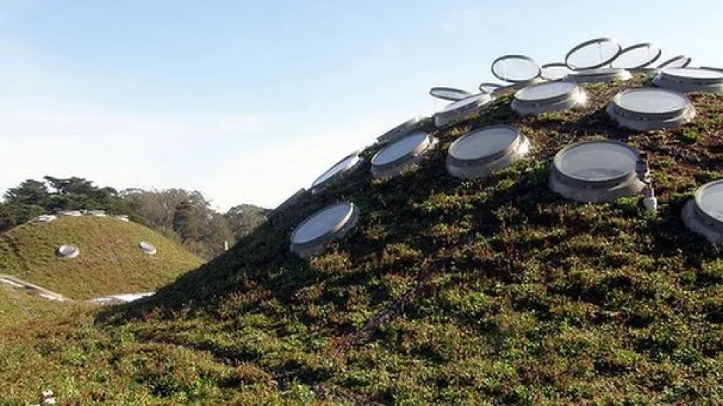 Kalifornská akademie věd - architekt Renzo Piano