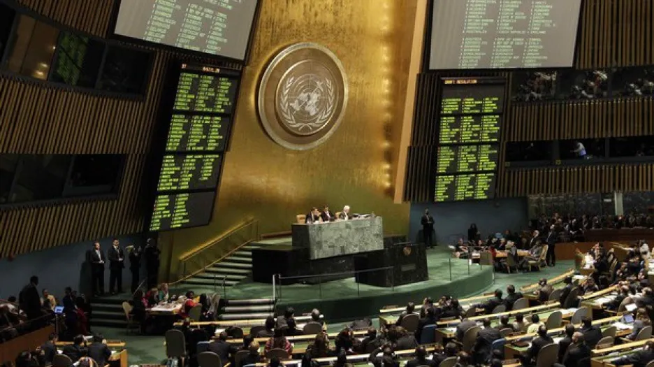 Hlasování OSN