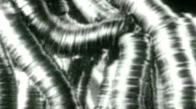 Reportáž Filipa Kandy