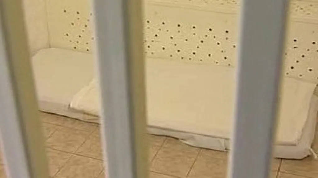 Třebíč by potřebovala vlastní záchytku