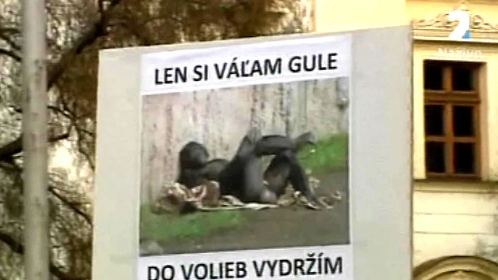 Kauza Gorila