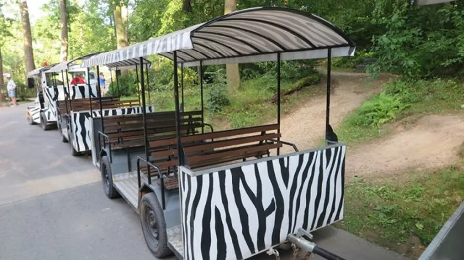 Nehoda vláčku v Zoo Lešná