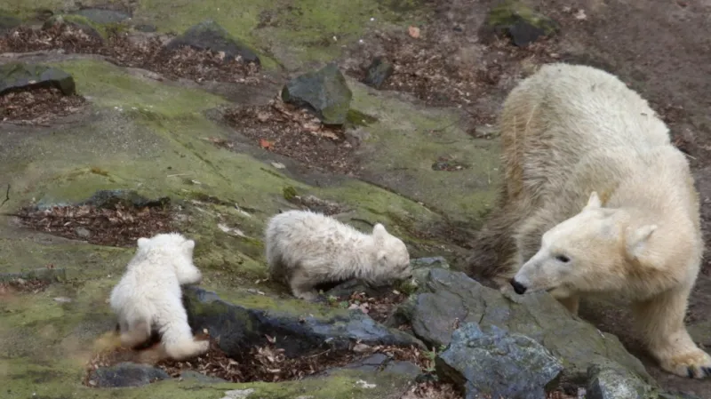 Cora s Billem a Tomem