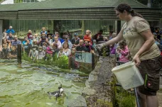 Zastupitelé Liberce schválili převod zoo a botanické zahrady na kraj. Majetek má hodnotu 700 milionů