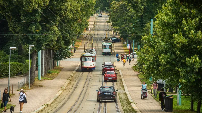 Stromy omezují přehřívání vzduchu v ulicích měst, můžou ale současně zhoršit rozptyl znečišťujících látek v oblastech s hustou dopravou