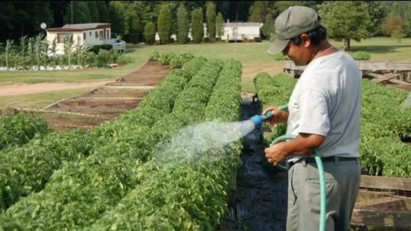 Česku hrozí sucha a požáry