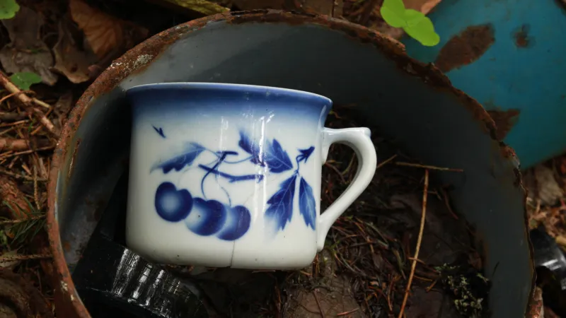 Pozůstatky osady Jezerní Chalupy na Klatovsku