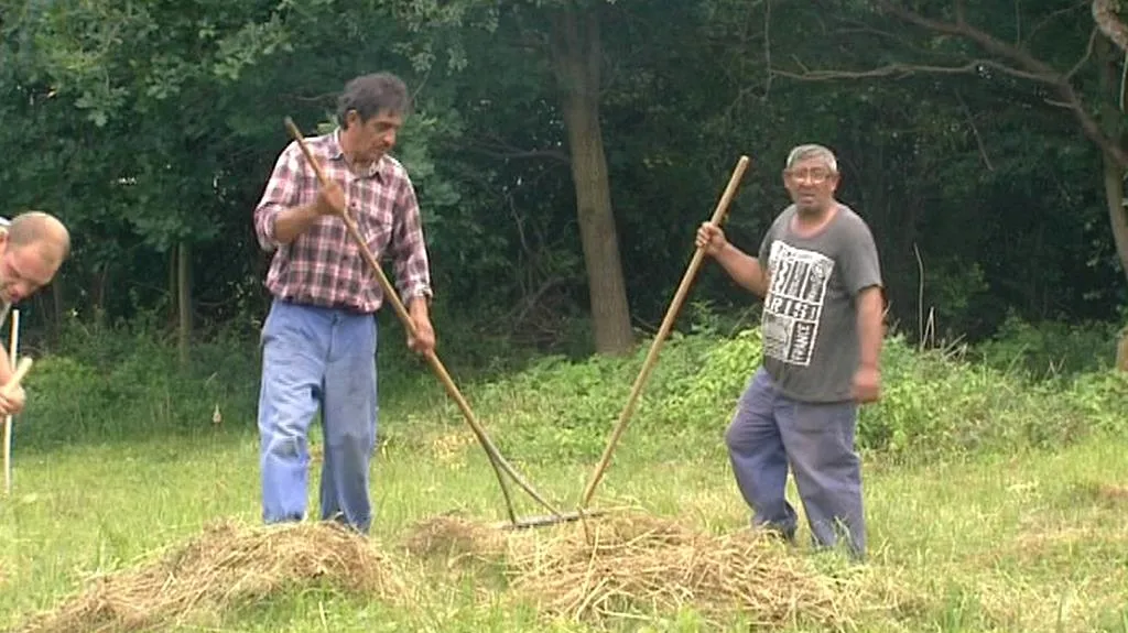 Slovenští Romové na biofarmě
