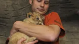 Ošetřovatel s mládětem lva berberského