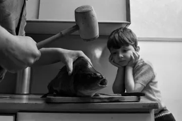 Hoj, ty tajemný svátku. Ověřte si v kvízu své znalosti o Vánocích