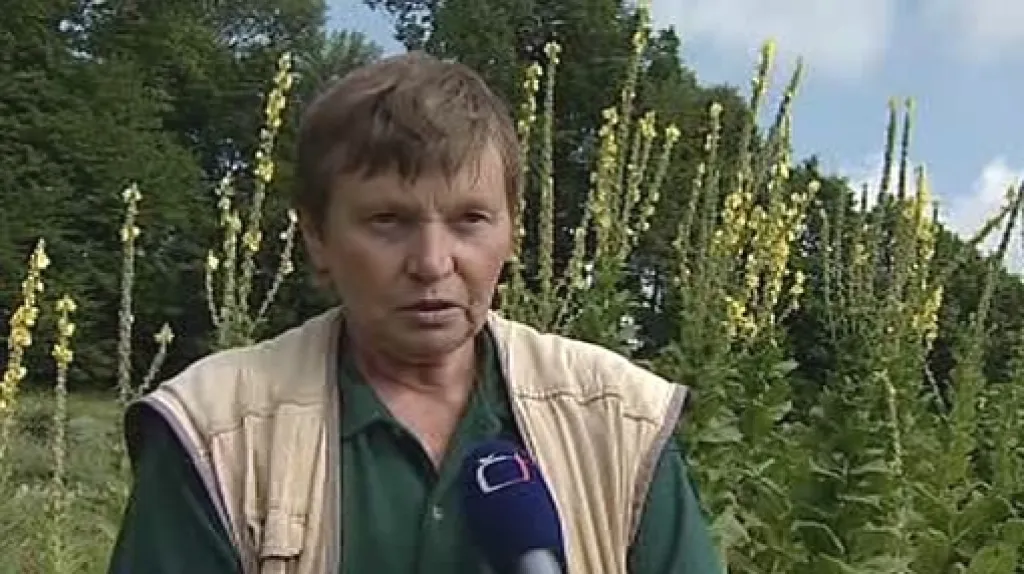 Biofarmářka Jaroslava Marková