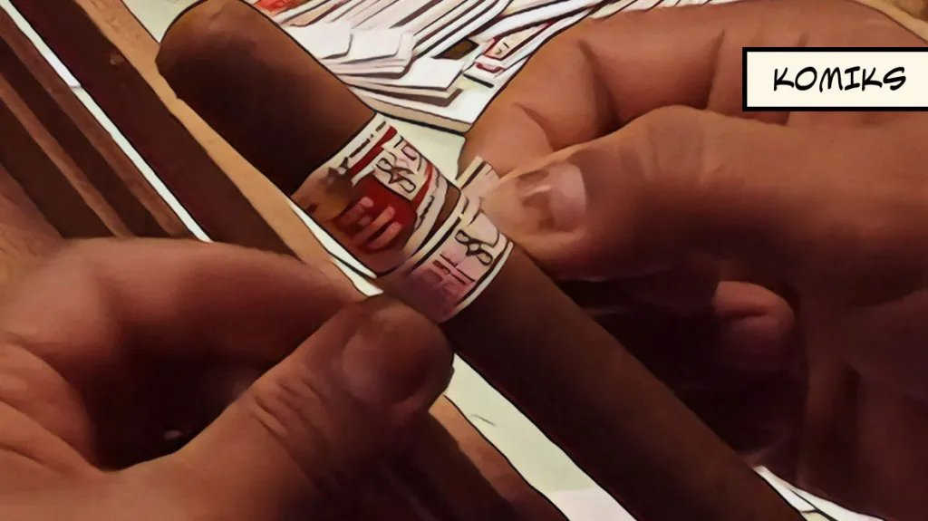 Zpustošené plantáže na Floridě