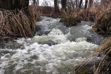 Obleva zvedla hladiny řek na povodňové stupně