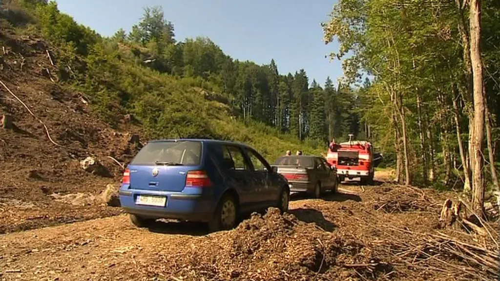 Vykácený les na Šumpersku