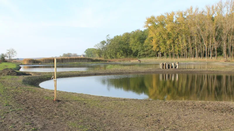 Mokřady v Hovoranech