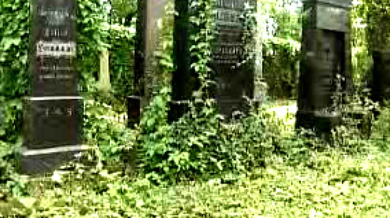 Židovský hřbitov, který byl ve Vyškově v září 2007 poprvé zpřístupněn veřejnosti.